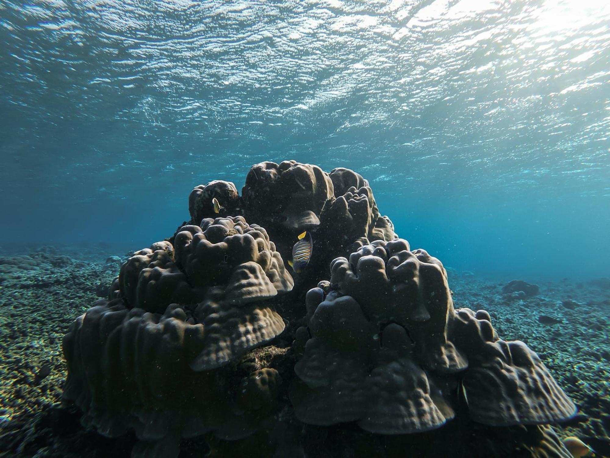Menjaga Bay Otel Labuan Bajo Dış mekan fotoğraf